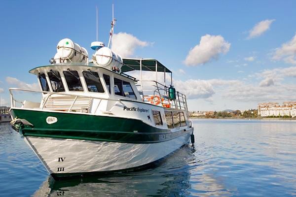Orca Spirit pacific-explorer-002