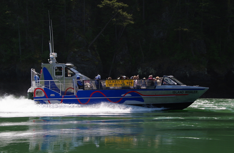 Deception Pass Tours The Island Whaler imgp0911island-whaler