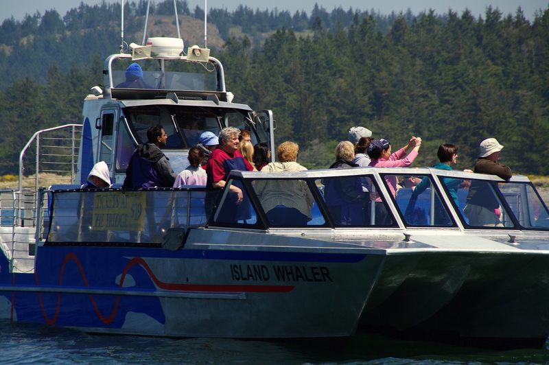 Deception Pass Tours The Island Whaler imgp1001island-whaler