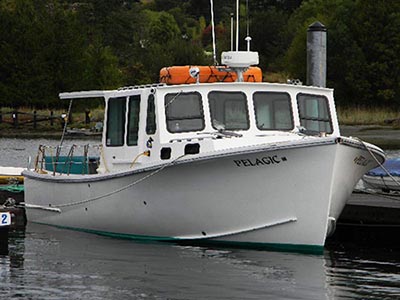 Deer Harbor Charters Pelagic-small