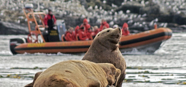 Great Pacific Adventures Zodiac 32-563983988ee69083a8ccd33d9b26739d