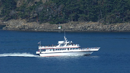 Island Adventures Island Explorer 3 1