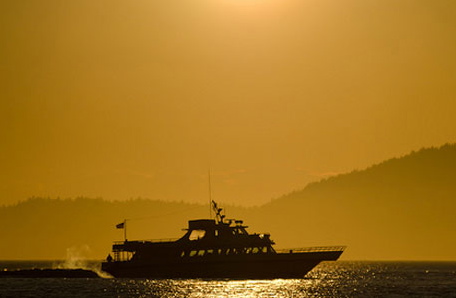 Island Adventures Island Explorer 3 8