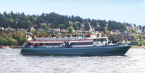 Island Mariner caper profile 484