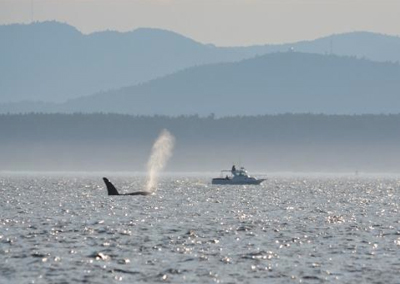 Legacy Charters Legacy3