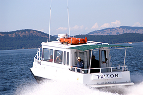 Outer Island The-Triton-in-transit