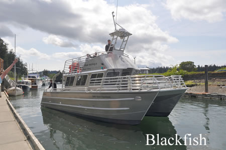 Outer Island blackfishII angle