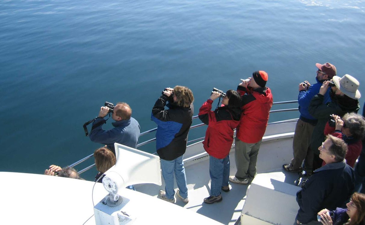 Puget Sound Express3