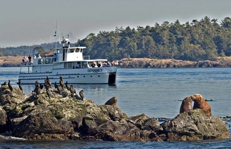 San Juan Excursions Odyssey 2