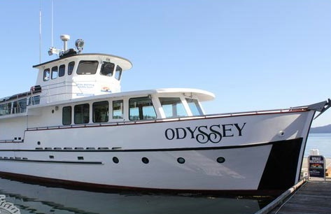 San Juan Excursions Odyssey 3