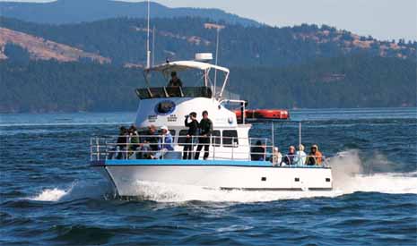 San Juan Island Outfitters 2ww-04