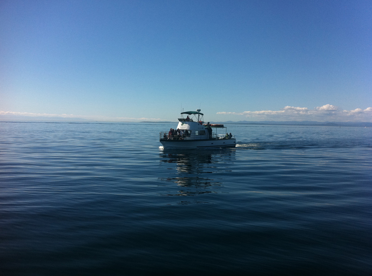 San Juan Safaris IMG 0037FX