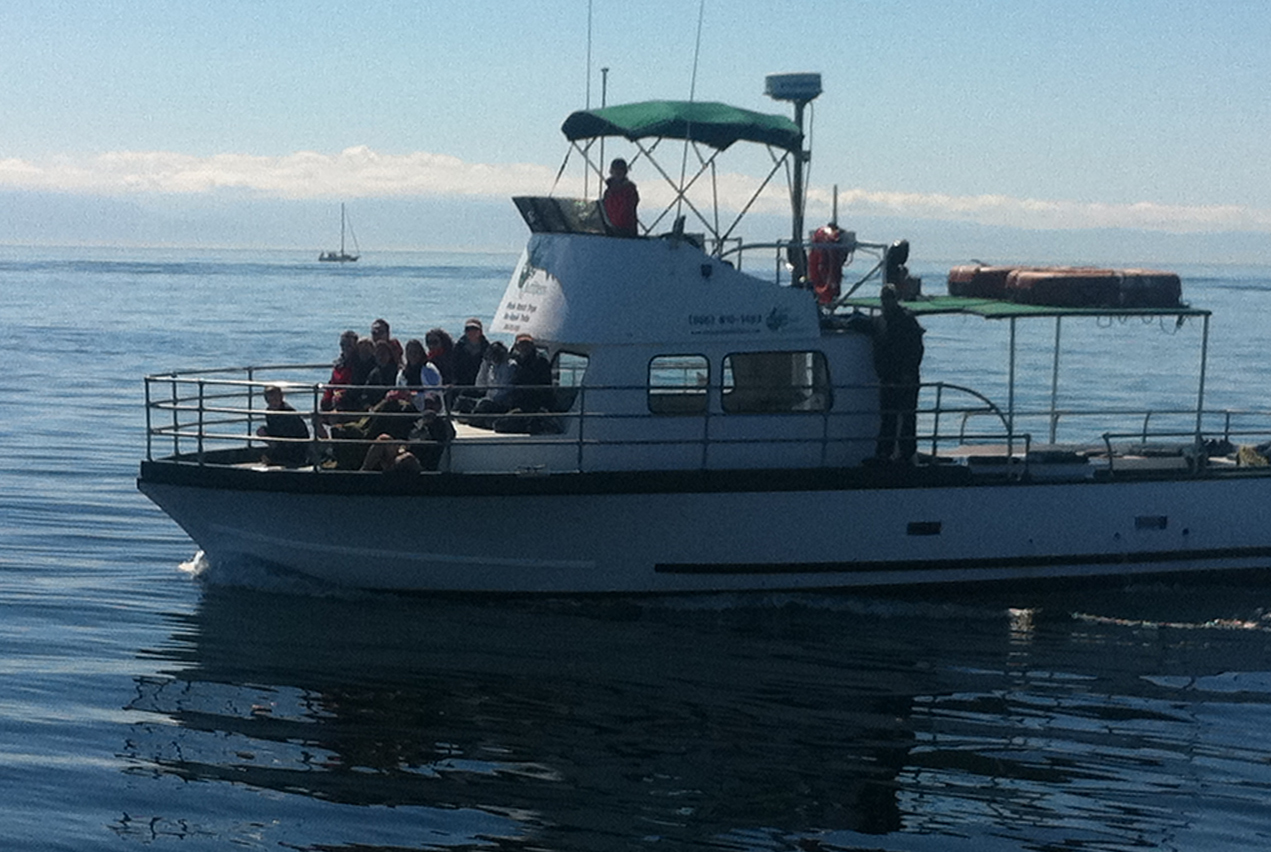 San Juan Safaris MG 0038FX