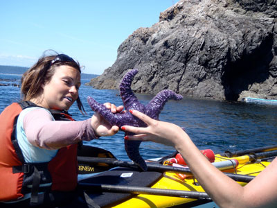 San Juan Safaris kayak guide kayaker seastar2