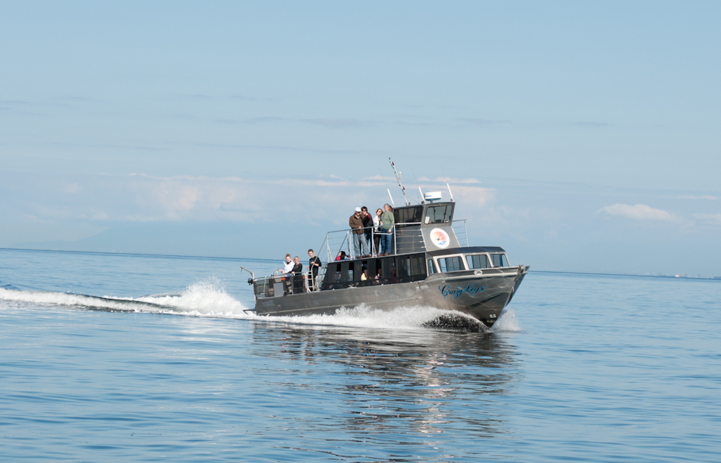 Steveston Seabreeze Crazy Legs dsc 0694