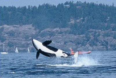 Vancouver WW lightship1-in-background 1
