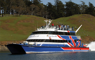 Victoria ClipperIII WhaleAndSealifeSearch2 gallery mlt