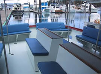 Western PrinceII western prince BOTTOM