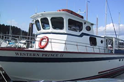 Western PrinceII western prince TOP