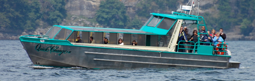 Wild Whales Quick Change