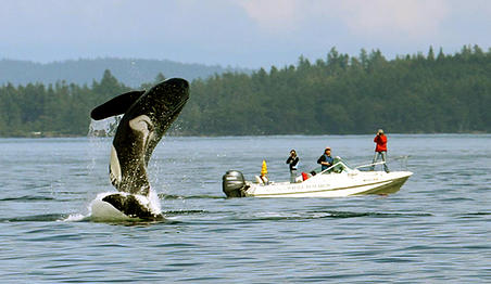 CWR 760f65 7b1159ed457d381e20e15712f71617f2.jpg srz 452 262 75 22 0.50 1.20 0.00 jpg srz