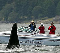 CWR 760f65 ef1c00a3fd2c39d6358088bbefb406aa.jpg srz 211 186 75 22 0.50 1.20 0.00 jpg srz