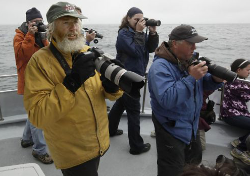 Calambokidus 628x471b