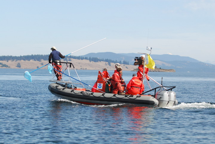 Cascadia Approachingfluke KCB