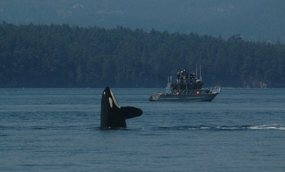 Outer Island just-another-day-with