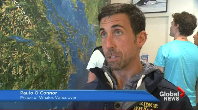 PWWA Media Paulo CTV WW Rescue