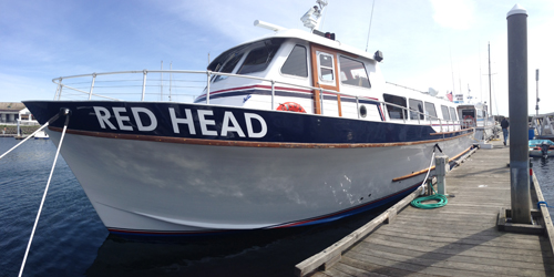 Red Head 2014-04-10-13.29.33 sm