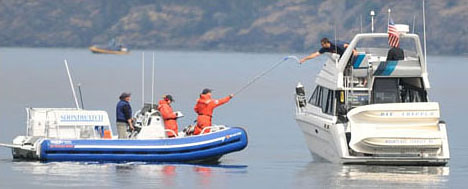 Soundwatch SW handoff crop