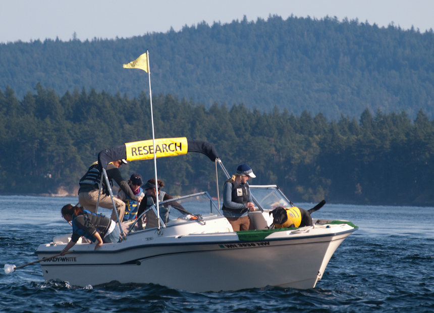 Tucker2 Scat-Sniffing-Dog