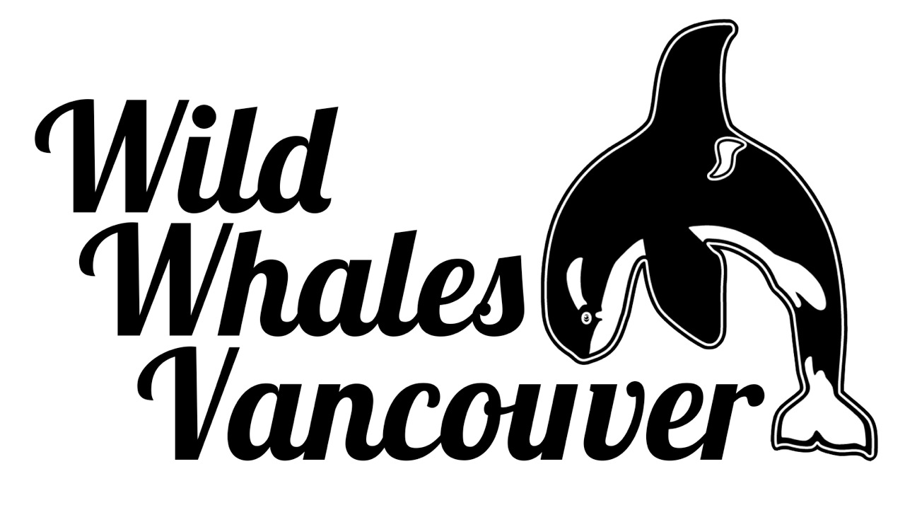 Wild Whales Vancouver logo-transpbkgd