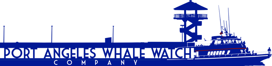 pawwc-logo